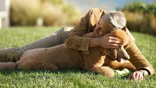 Image El mundo según Jeff Goldblum 1