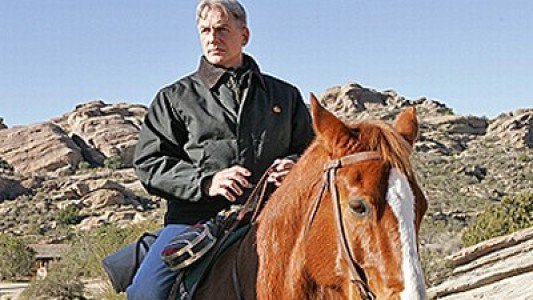 Image NCIS (Navy: Investigación criminal) 17