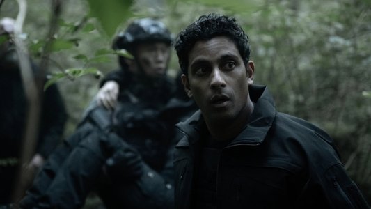 Image Invasion (2021) 5