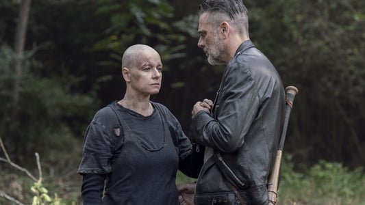 Image The Walking Dead 12