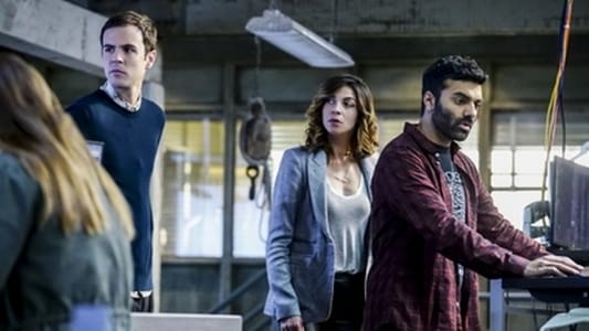 Image Inteligencia colectiva 13