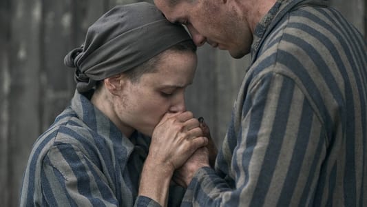 Image The Tattooist of Auschwitz 6