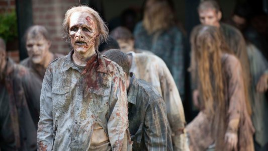 Image The Walking Dead 8