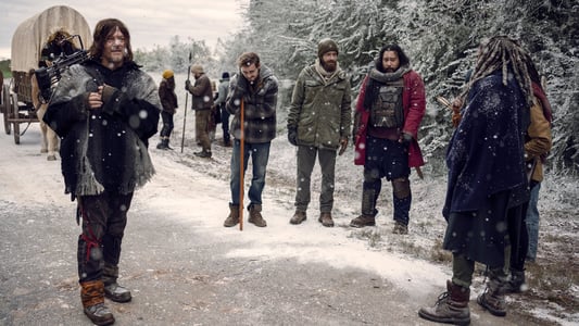 Image The Walking Dead 16