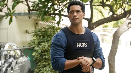 Image NCIS Hawaii 2