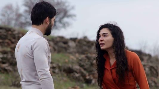 Image Hercai 4