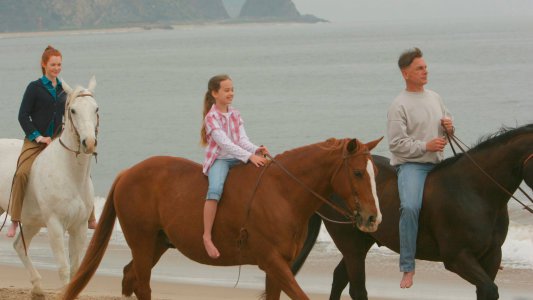 Image NCIS (Navy: Investigación criminal) 24