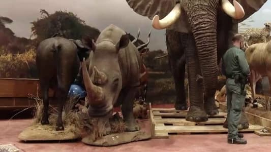 Image Equipo de Investigación 33