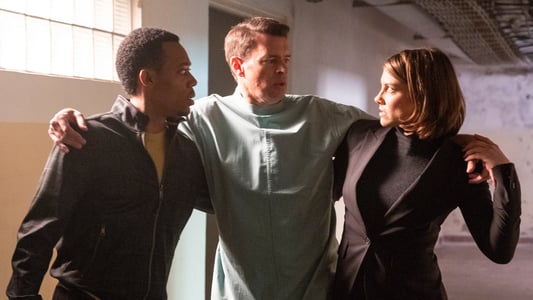 Image Whiskey Cavalier 9