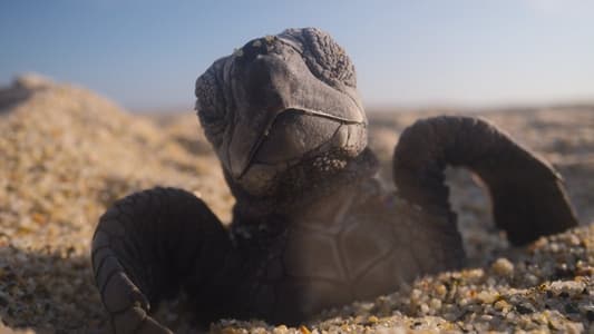 Image Nuestro planeta (Our Planet) 3