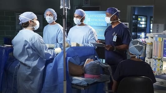 Image Anatomía de Grey (Greys Anatomy) 4