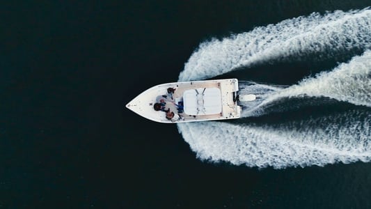 Image Murdaugh Murders: A Southern Scandal 1