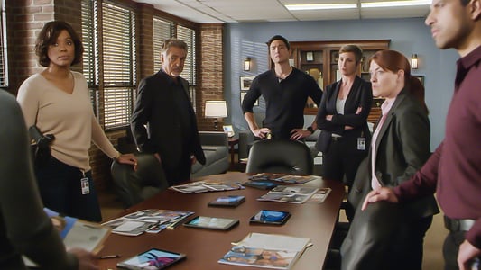 Image Mentes Criminales (Criminal Minds) 15