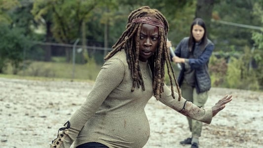 Image The Walking Dead 14