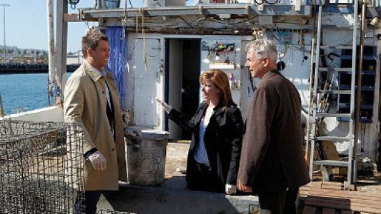 Image NCIS (Navy: Investigación criminal) 6