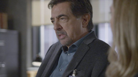 Image Mentes Criminales (Criminal Minds) 8