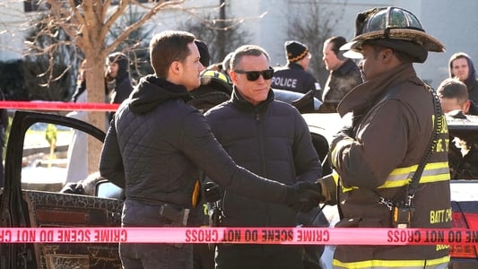 Image Chicago Fire 13