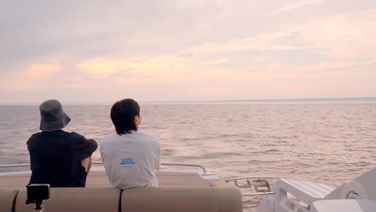 Image Are You Sure?! 2