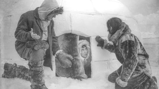 Image Documentary Now 2