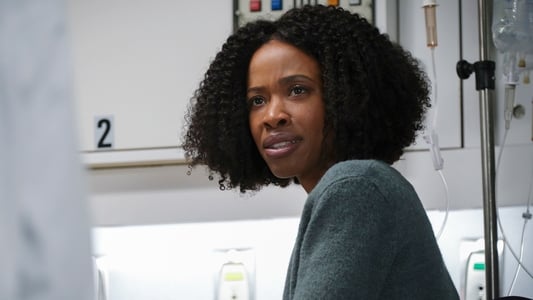 Image All American 11