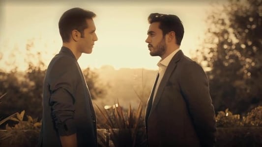 Image Love is in the Air 31