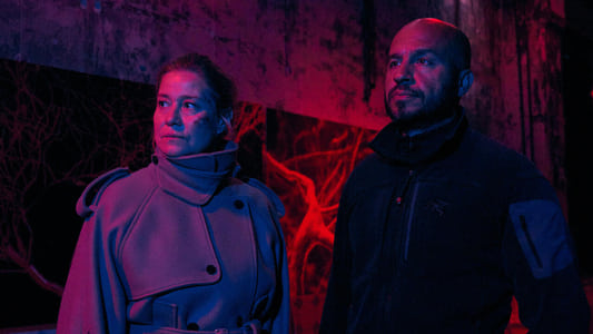 Image Face to Face 6