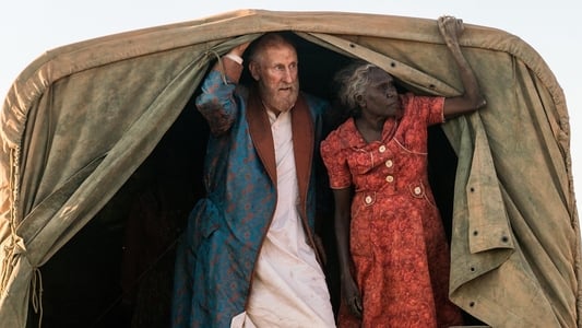 Image Operation Buffalo 5