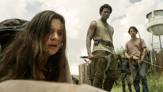 Image The Walking Dead 13