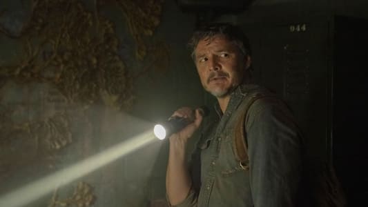 Image The Last of Us 1