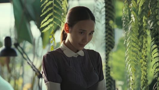 Image El señor de la casa 7