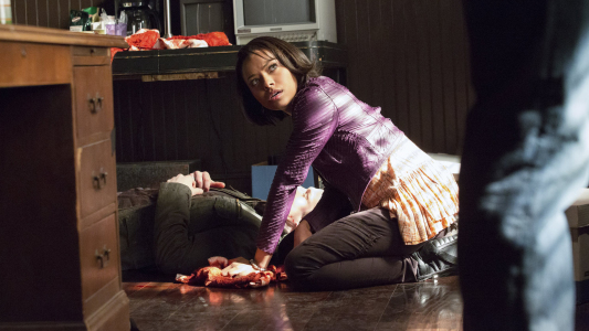 Image Crónicas vampíricas (The Vampire Diaries) 18