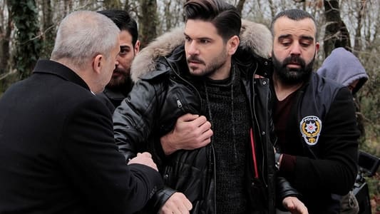 Image Black Diamond 20