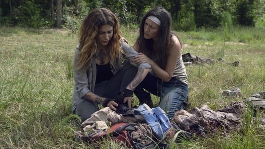 Image The Walking Dead 7