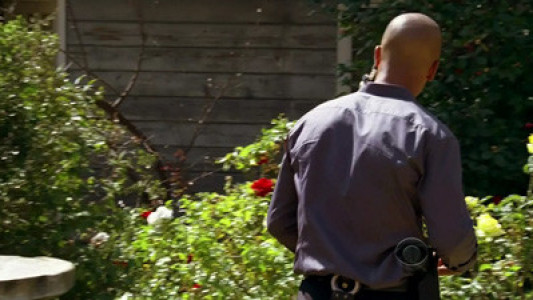 Image Mentes Criminales (Criminal Minds) 24