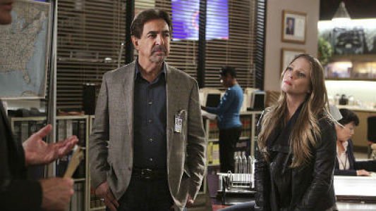 Image Mentes Criminales (Criminal Minds) 21