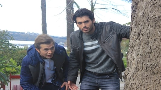 Image Matrimonio por sorpresa 35