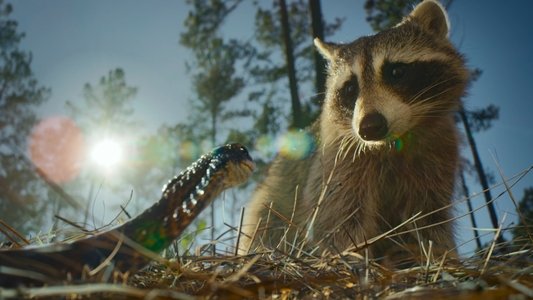 Image Naturaleza de pesadilla 1