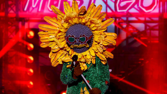 Image Mask Singer: Adivina quién canta 7