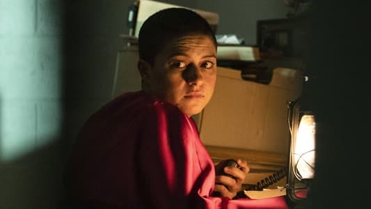 Image Search Party 3