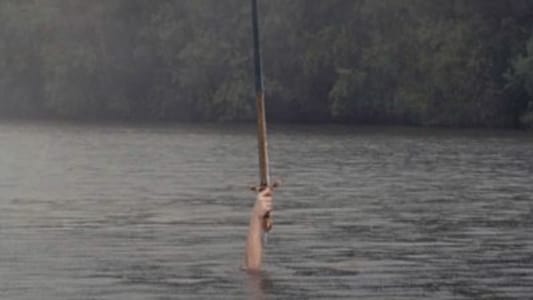 Image Las aventuras de Merlin 13