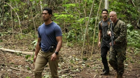 Image NCIS Hawaii 7