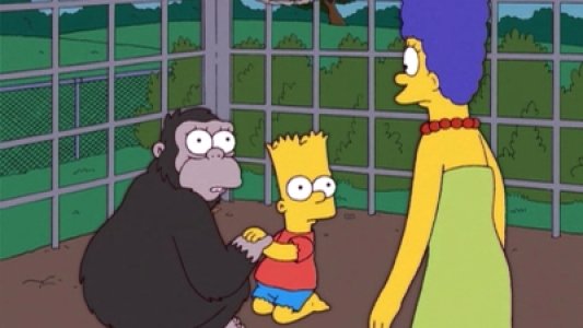 Image Los Simpsons 14