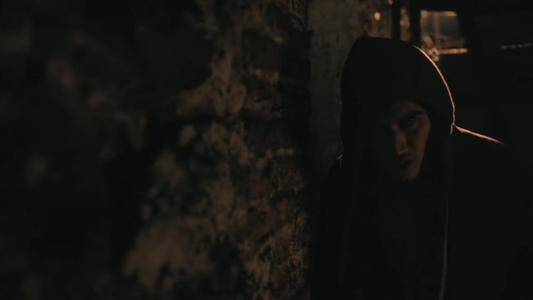 Image Coyotl: Bestia vs Narco 3