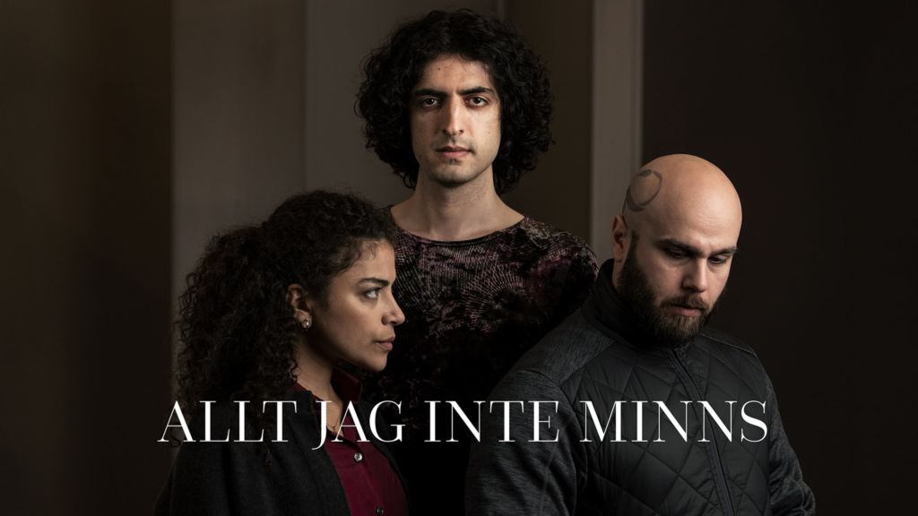 Image Allt jag inte minns