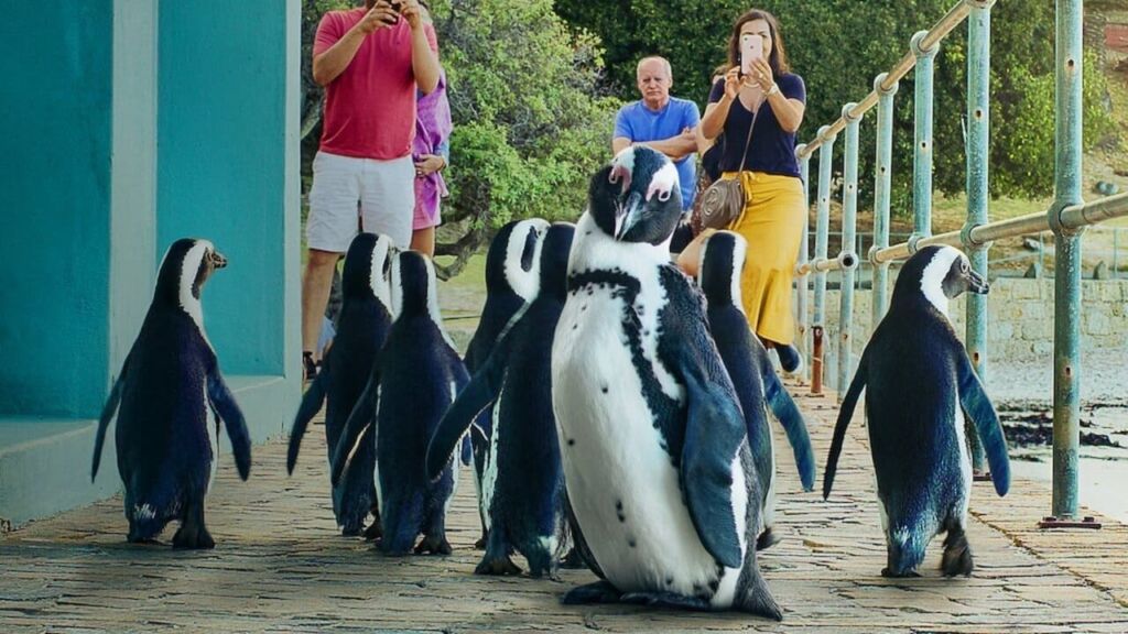 Image Colonia Pinguinos (Penguin Town)