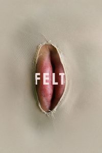 Poster Felt