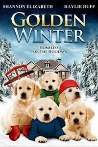 Poster Golden Winter