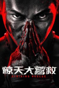 Poster Venganza implacable