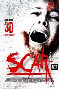 Poster Scar 3D