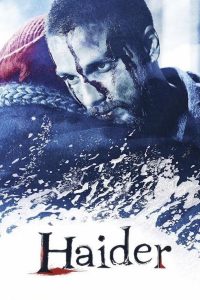 Poster Haider